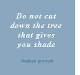 Do not cut down the tree that gives you shade